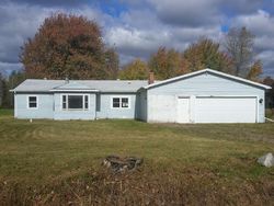 Foreclosure Listing in WILLARD RD BIRCH RUN, MI 48415