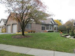 Foreclosure Listing in HOLLOW TREE RD ORLAND PARK, IL 60462