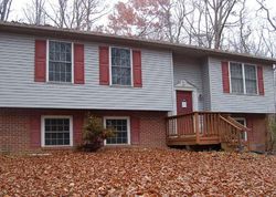 Foreclosure Listing in HOLDEN LN FREDERICKSBURG, VA 22406