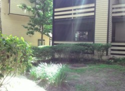  Arcadia Dr Unit 201, Jacksonville FL