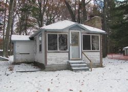 Foreclosure in  WOLF LAKE DR Baldwin, MI 49304