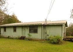 Foreclosure Listing in EARLVILLE RD CITRONELLE, AL 36522