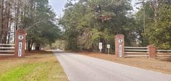 Foreclosure in  AULD BRASS RD Walterboro, SC 29488