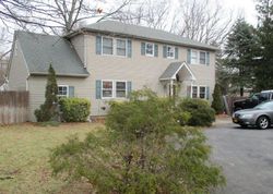 Foreclosure Listing in ELKWOOD ST LAKE GROVE, NY 11755