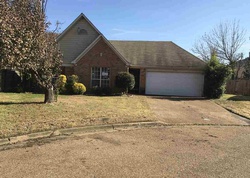 Foreclosure in  CHINKAPIN OAK CV Memphis, TN 38141