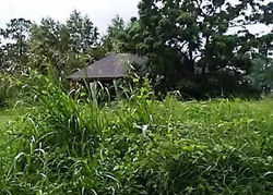 Foreclosure in  ALMONASTER AVE New Orleans, LA 70117