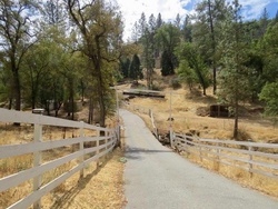 Foreclosure in  DOG BAR RD Grass Valley, CA 95949