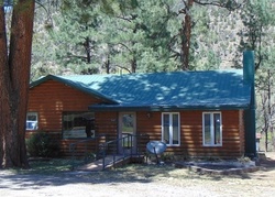 Foreclosure in  SUDDERTH DR Ruidoso, NM 88345