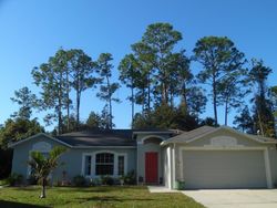 Foreclosure in  ZAMORO PL Palm Coast, FL 32164