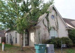 Foreclosure in  FALLING BARK DR Memphis, TN 38134