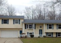 Foreclosure Listing in GLENWOOD RD CONNEAUT, OH 44030