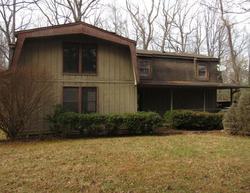 Foreclosure in  ATLANTA AVE Menlo, GA 30731