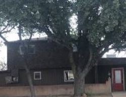 Foreclosure in  S DOVE CREEK RD San Angelo, TX 76904