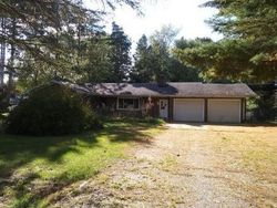 Foreclosure in  BIRCHWOOD DR Mount Morris, MI 48458