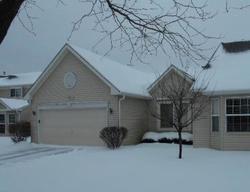 Foreclosure Listing in CHESTNUT CIR YORKVILLE, IL 60560