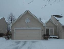 Foreclosure in  CHESTNUT CIR Yorkville, IL 60560