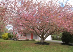 Foreclosure in  WILLOW LN Middletown, DE 19709