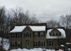 Foreclosure in  W FOREST TRL Holmes, NY 12531
