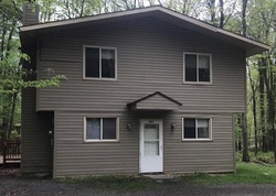 Foreclosure Listing in SELIG RD POCONO LAKE, PA 18347