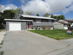 Foreclosure Listing in CRAIG AVE SIDNEY, NE 69162