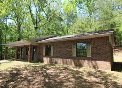 Foreclosure Listing in 10TH ST SW FAYETTE, AL 35555