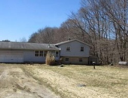 Foreclosure Listing in BEERY RD RAVENNA, OH 44266