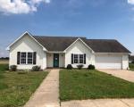 Foreclosure Listing in CHEROKEE CIR NEW MADRID, MO 63869