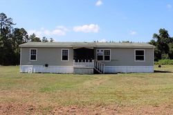 Foreclosure Listing in HILMAN DR SE LUDOWICI, GA 31316