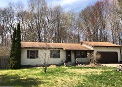 Foreclosure in  ALEXANDER ST Cadillac, MI 49601