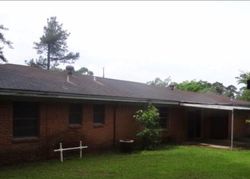 Foreclosure Listing in YOUPON ST WOODVILLE, TX 75979