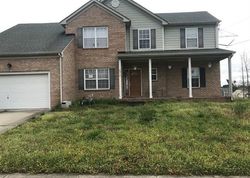 Foreclosure Listing in BRIANS LN SUFFOLK, VA 23434