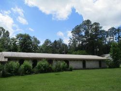 Foreclosure Listing in MAPLE DR PETAL, MS 39465