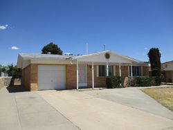  Sunflower Ln, El Paso TX