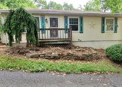 Foreclosure in  MCKINLEY DR Hancock, MD 21750