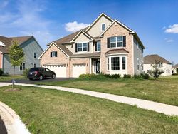 Foreclosure in  CONIFER CT Elgin, IL 60124