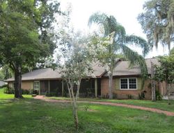 Foreclosure Listing in FIG TREE LN BRANDON, FL 33511