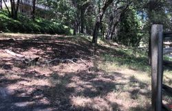 Foreclosure in  CASA LOMA DR Grass Valley, CA 95945