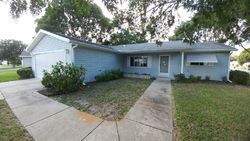 Foreclosure Listing in SE 95TH CIR SUMMERFIELD, FL 34491