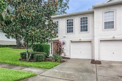 Foreclosure in  ASHBURN LAKE DR Tampa, FL 33610