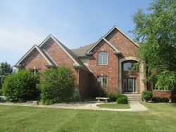 Foreclosure Listing in CRIMSON LN FRANKFORT, IL 60423