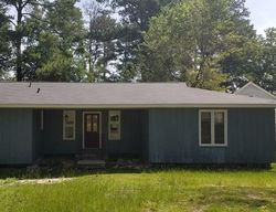 Foreclosure Listing in PENNY LN LEXINGTON, SC 29073