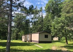 Foreclosure Listing in STATE HIGHWAY 89 WANNASKA, MN 56761