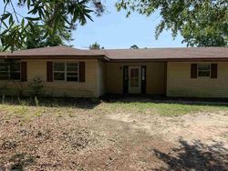 Foreclosure Listing in RAMSEY RD DIANA, TX 75640