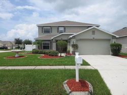 Foreclosure Listing in CITRUS LEAF DR GIBSONTON, FL 33534