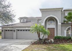 Foreclosure in  MARBLE CREST DR Land O Lakes, FL 34638