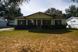 Foreclosure Listing in FLINT DR TAMPA, FL 33619