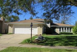 Foreclosure Listing in S VICKY LN PALOS HILLS, IL 60465