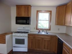 Foreclosure Listing in 129TH ST COSMOS, MN 56228