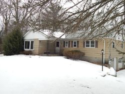 Foreclosure Listing in BASEL RD PINE BUSH, NY 12566