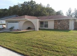  Arbor Hills Rd, Tampa FL